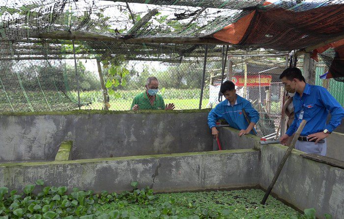 133385336898460747_Ảnh 2(13)