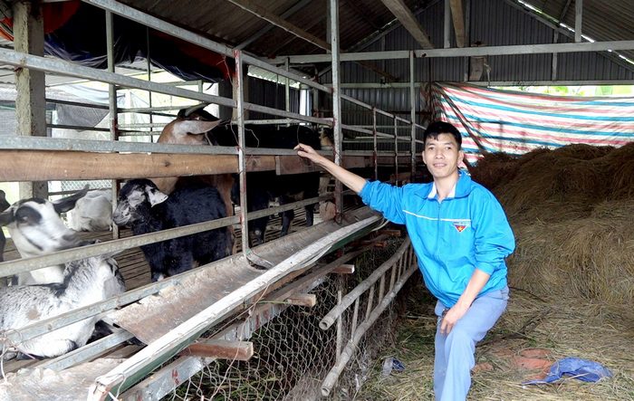 133385337127777527_Ảnh 3(4)