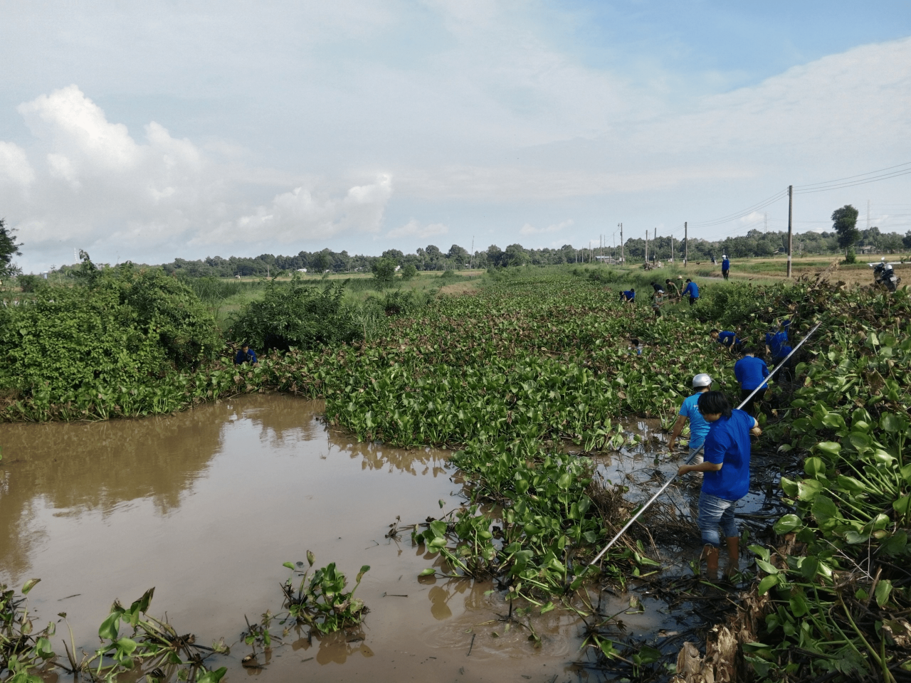 A group of people working in a field
Description automatically generated