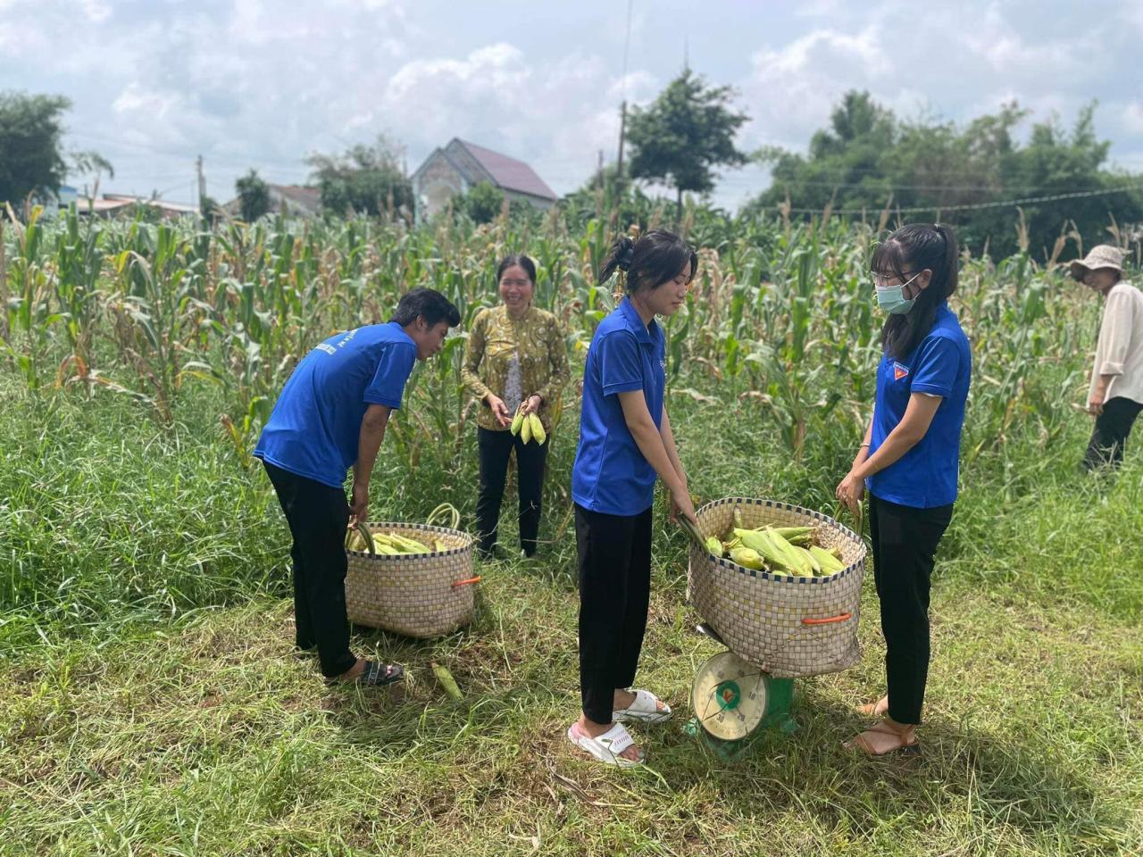 D:\Diễm My 2023. MINH CHỨNG TWĐ.8\hình ảnh-2.jpg