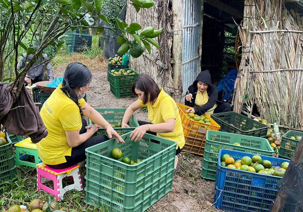 D:\Diễm My 2023. MINH CHỨNG TWĐ.8\hình ảnh\bưu điện.jpg