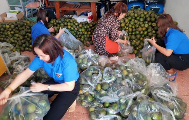 D:\Diễm My 2023. MINH CHỨNG TWĐ.8\hình ảnh\cao đẳng nghề thu cam.jpg