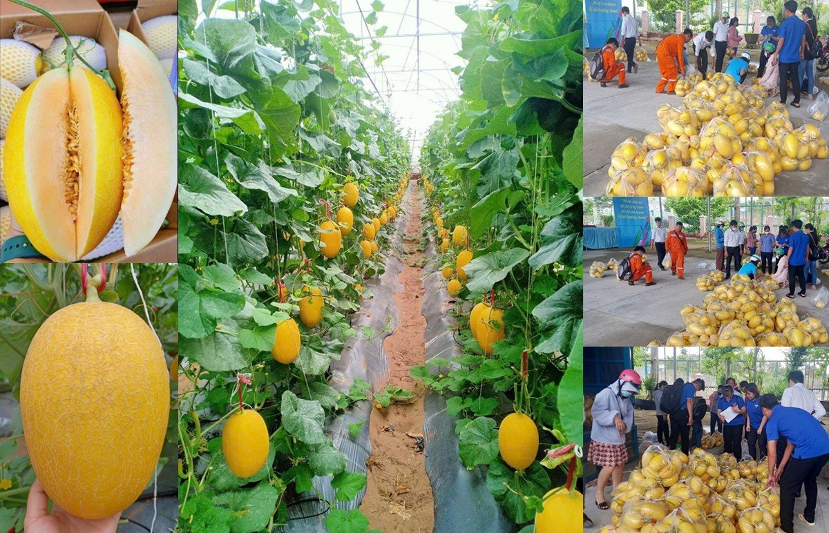 D:\Diễm My 2023. MINH CHỨNG TWĐ.8\hình ảnh\đoàn khối.jpg