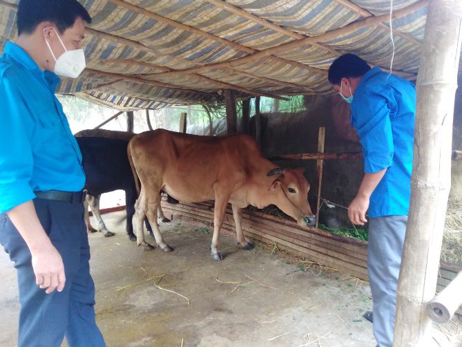 A picture containing ground, person, person, petting Description automatically generated