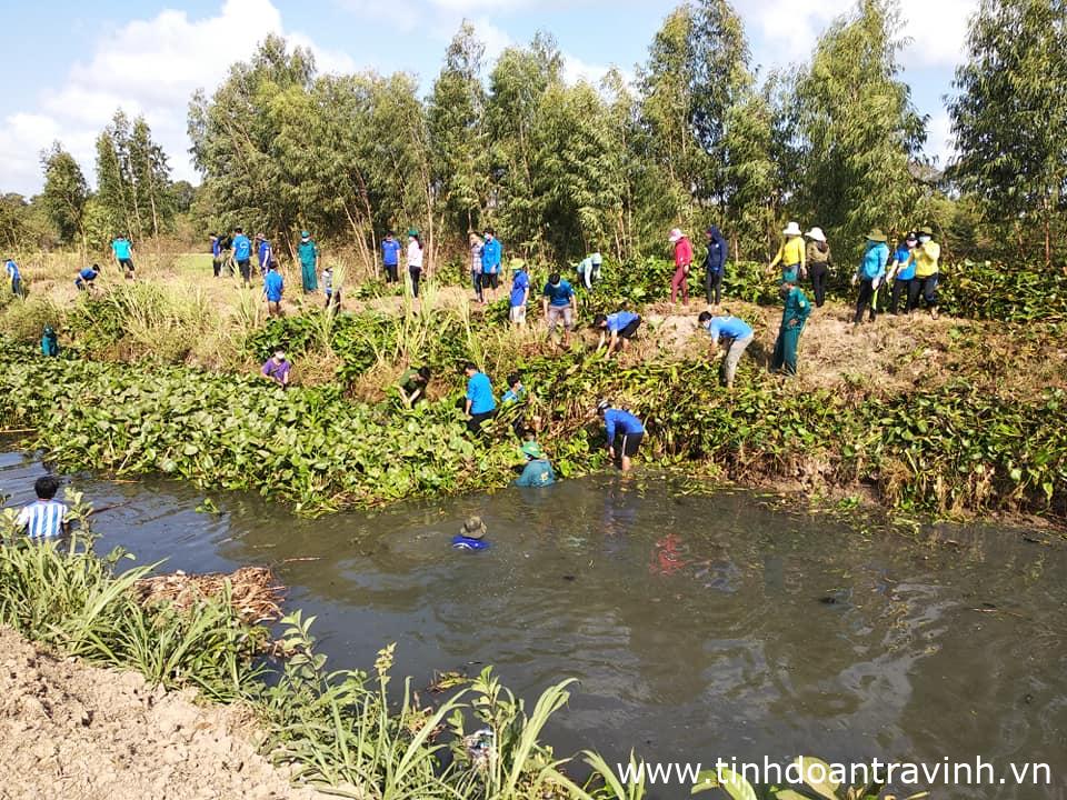 C:\Users\Administrator\Desktop\Tra Cu.jpg