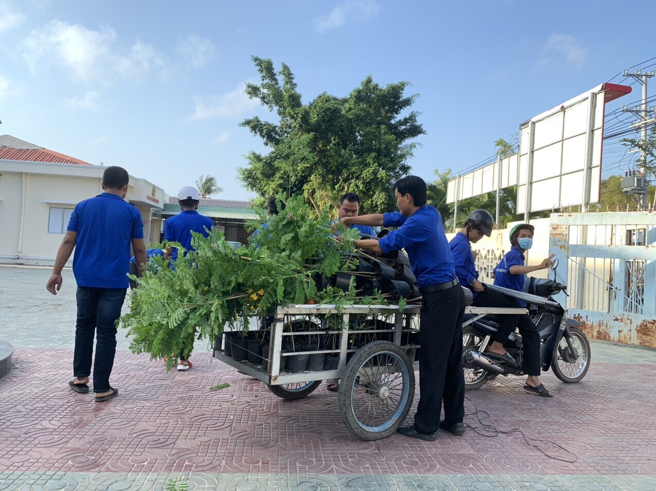 D:\Diễm My 2023. MINH CHỨNG TWĐ.10\hình. hình xây dựng tuyến đường hoa.jpg