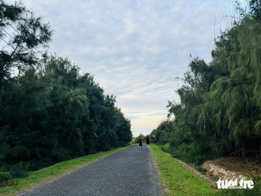 Những công trình tình nguyện giữ màu xanh trên đảo Phú Quý- Ảnh 3.