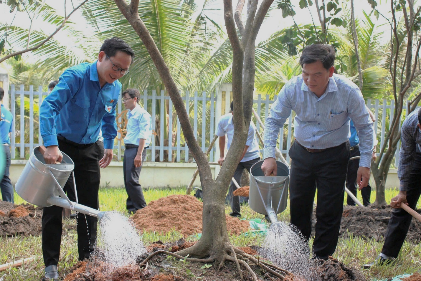 A group of men watering a tree Description automatically generated