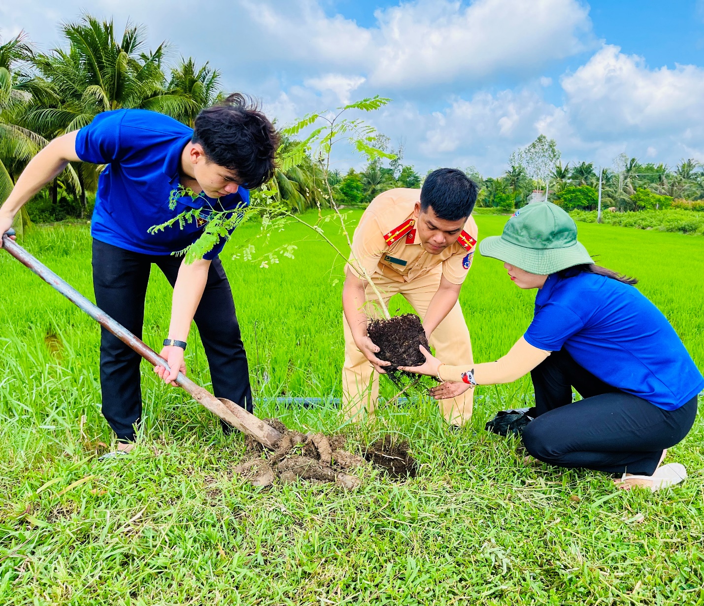 A group of people digging in the grass Description automatically generated