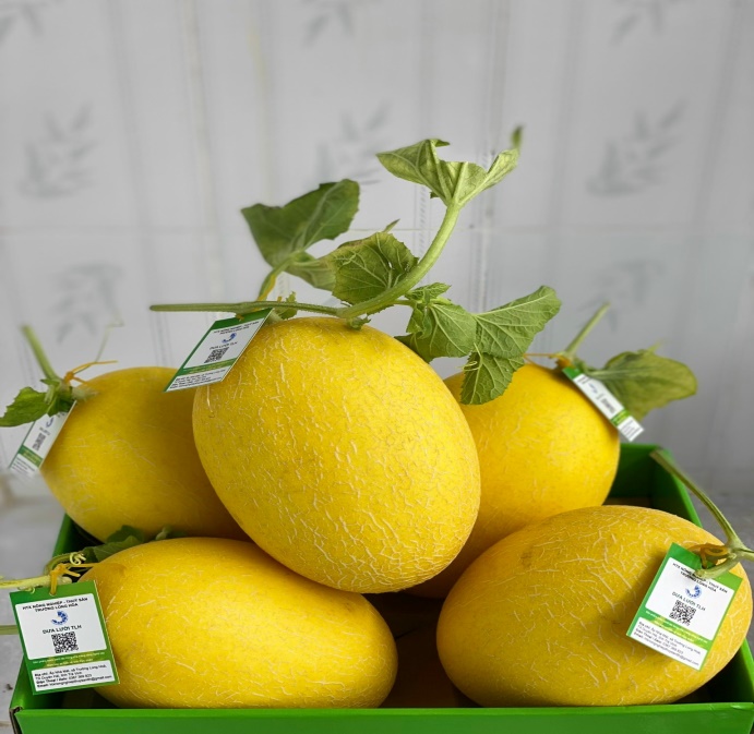 D:\XÃ ĐOÀN NĂM 2025\HÌNH ẢNH - TIN BÀI\479468911_927582356213414_3317372345694562331_n.jpg