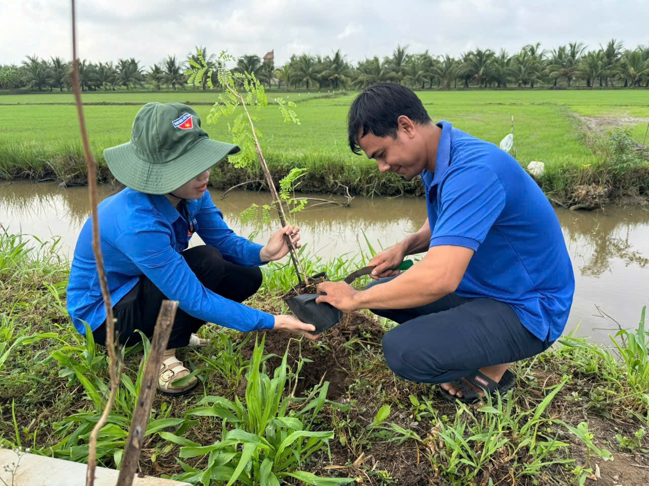 Two men planting a tree

AI-generated content may be incorrect.
