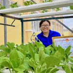 Chị Lê Công Trà My – Gương Thanh niên khởi nghiệp tiêu biểu với mô hình “Trồng rau thủy canh” tại xã Bình Đại, tỉnh Vĩnh Long