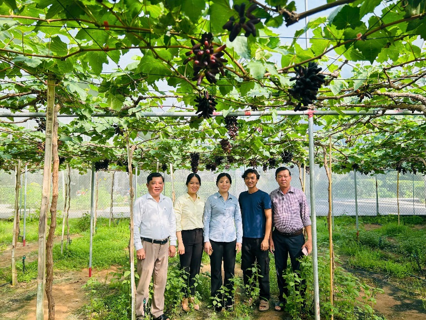 E:\THẢO MY - BAN PHONG TRÀO\NĂM 2026\TIN BÀI KHỞI NGHIỆP NĂM 2025\TIN BÀI CÁC XÃ PHƯỜNG\12. XÃ QUỚI ĐIỀN\1784267396453_6932225343626634650_6932225343626634650_h.jpg